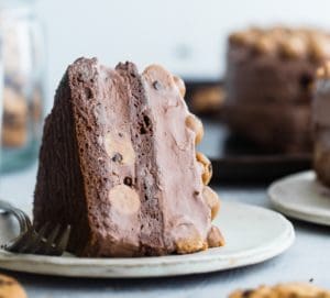 Low Carb Chocolate Protein Cheesecake