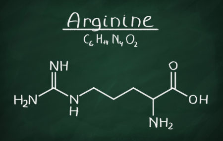 Amino Acid Arginine - Muscle Media