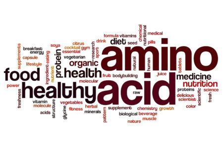 Amino Acid Therapy - Muscle Media