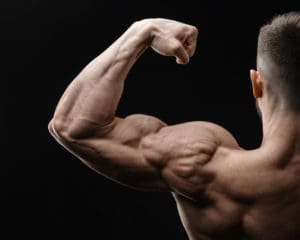 Arm Exercise - Muscle Media