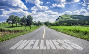 The Way to Wellness - Muscle Media