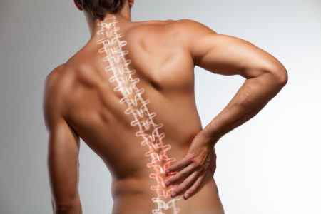 How-Physical-Therapy-for-Osteoporosis-Helps-Muscle-Media